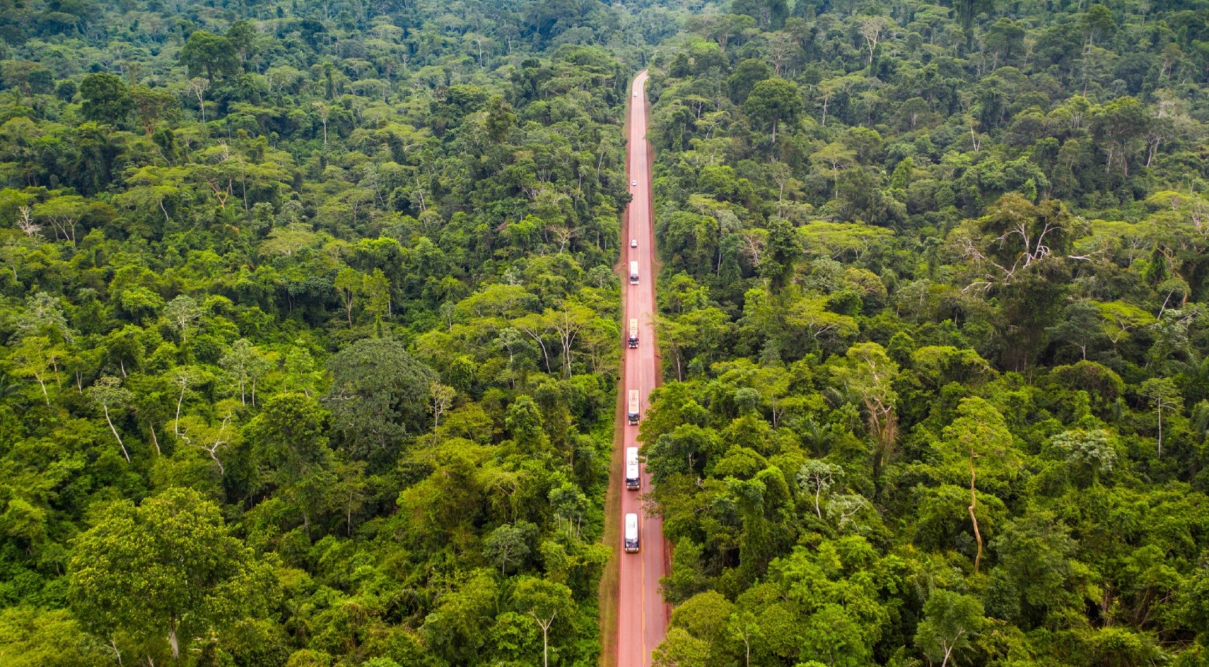 Remoção Involuntária