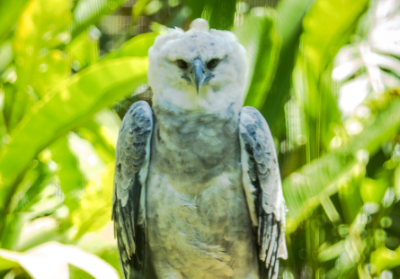 e36f5bfd-b93b-56f4-b63d-9573d0e601e3