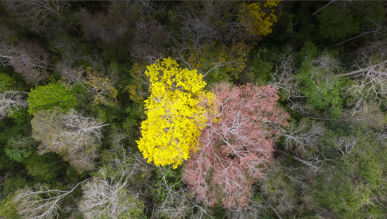 e7414252-3b3e-5c2f-a17f-ed5bd503e275