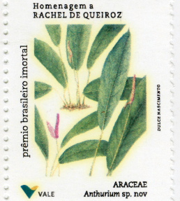 ac0711ca-3b62-51e3-bc9b-e6b2ce4e2d35