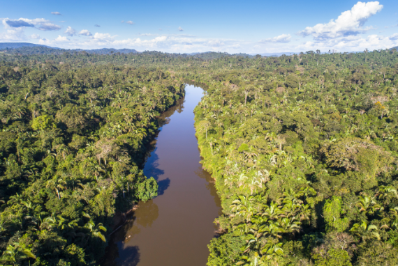 36e977f7-9c86-5b4d-a41c-fbce848bc042