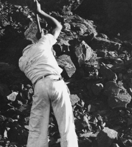 48a4d66e-619c-5892-9795-d1194518b914