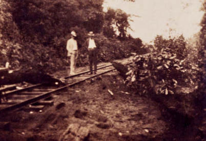 ee01d5b2-03f0-5a0f-984f-7950e22084bb