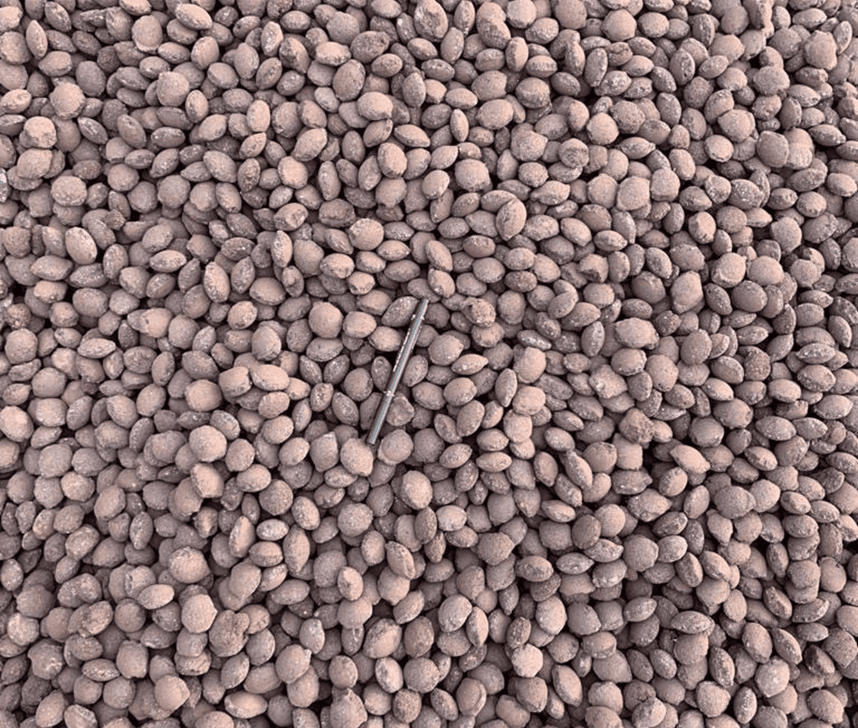 The imagen brings the following text 