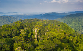 Vale releases its first Sustainability-Related Financial Information Report